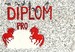 DIPLOM.jpg
