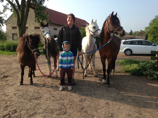 Naši poníci a koně