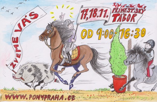 Naši poníci a koně